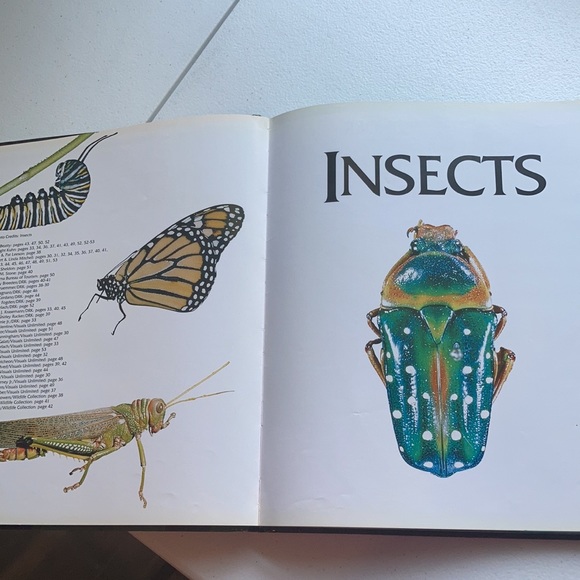 Animal Kingdom Hardback Book - Picture 6 of 16